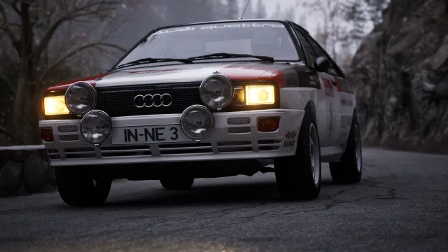 Assetto Corsa Rally - zrzut ekranu 3