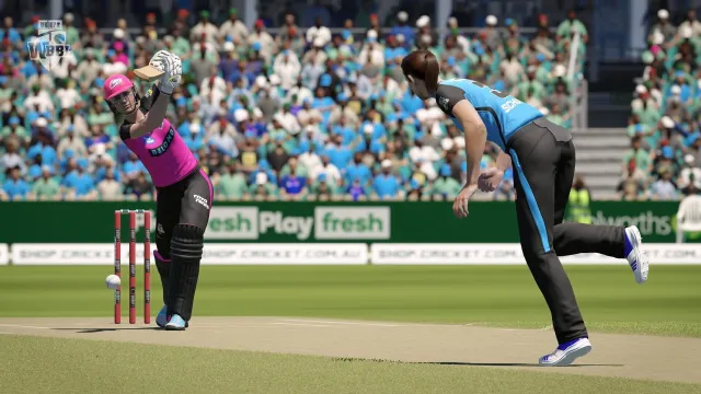 Cricket 24 - zrzut ekranu 1