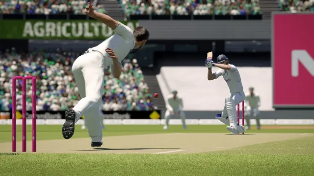 Cricket 24 - zrzut ekranu 4