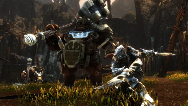 Kingdoms of Amalur: Re-Reckoning - zrzut ekranu 2