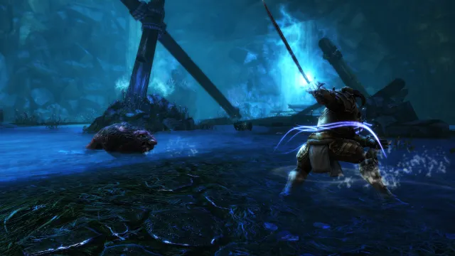 Kingdoms of Amalur: Re-Reckoning - zrzut ekranu 5