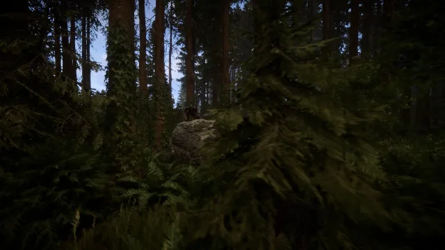 Sons Of The Forest - zrzut ekranu 4