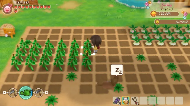 STORY OF SEASONS: Friends of Mineral Town - zrzut ekranu 3