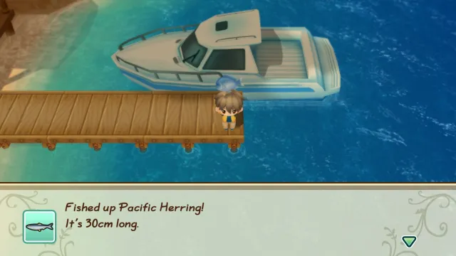 STORY OF SEASONS: Friends of Mineral Town - zrzut ekranu 5