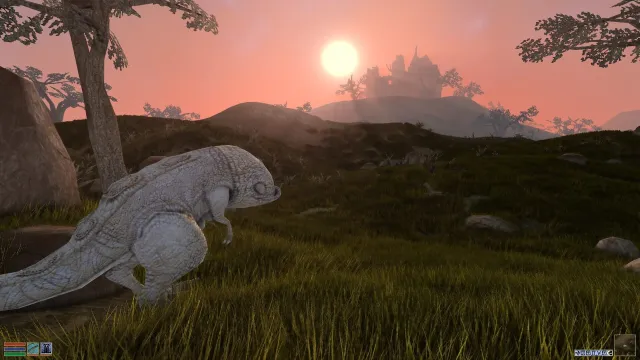 The Elder Scrolls III: Morrowind - zrzut ekranu 2