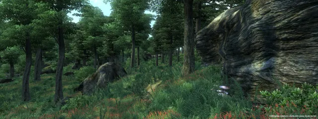 The Elder Scrolls IV: Oblivion - zrzut ekranu 2