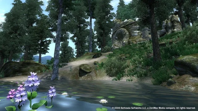The Elder Scrolls IV: Oblivion - zrzut ekranu 3