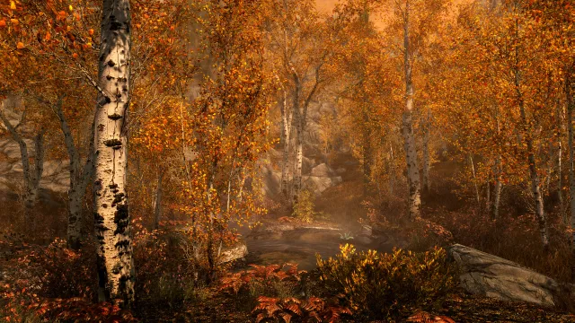 The Elder Scrolls V: Skyrim Special Edition - zrzut ekranu 3