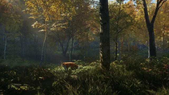 theHunter: Call of the Wild™ - zrzut ekranu 2