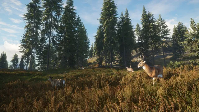 theHunter: Call of the Wild™ - zrzut ekranu 4