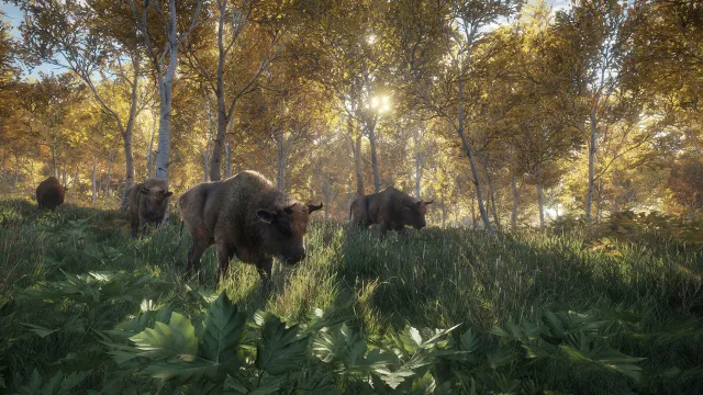 theHunter: Call of the Wild™ - zrzut ekranu 5