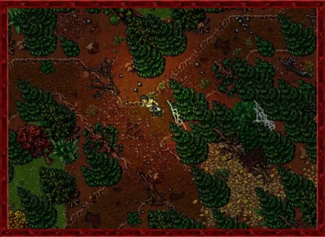 Tibia - zrzut ekranu 4