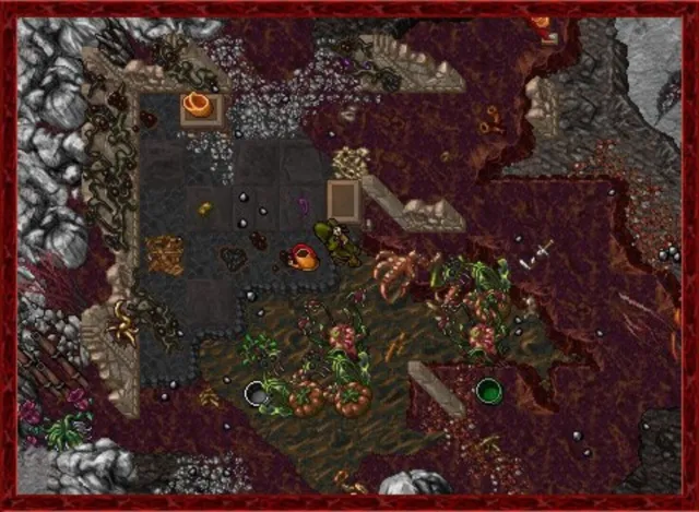 Tibia - zrzut ekranu 1