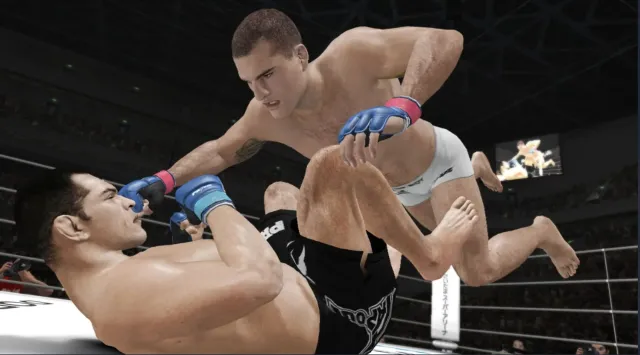 UFC Undisputed 3 - zrzut ekranu 3
