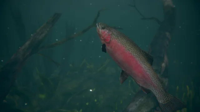 Ultimate Fishing® Simulator 2 - zrzut ekranu 1