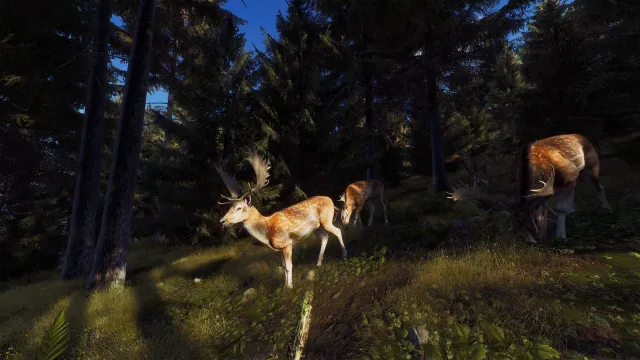 Way of the Hunter - zrzut ekranu 2