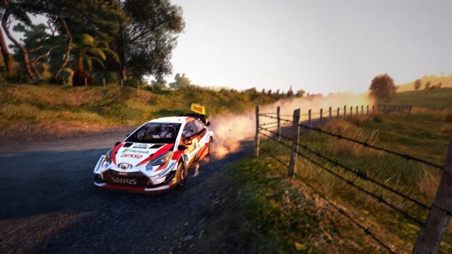 WRC 9 - zrzut ekranu 5