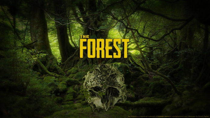 Kody do The Forest - nieśmiertelność, latanie, drewno, jedzenie
