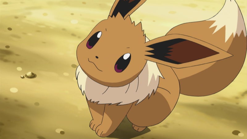 Pokemon GO – jak ewoluować Eevee?
