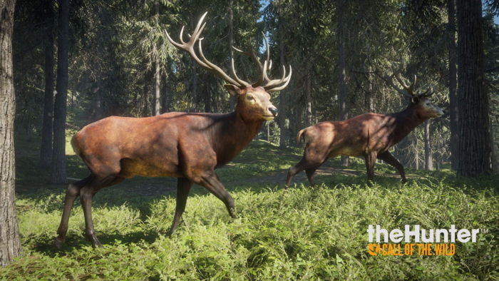 theHunter: Call of the Wild – wkrótce ruszymy na polowanie